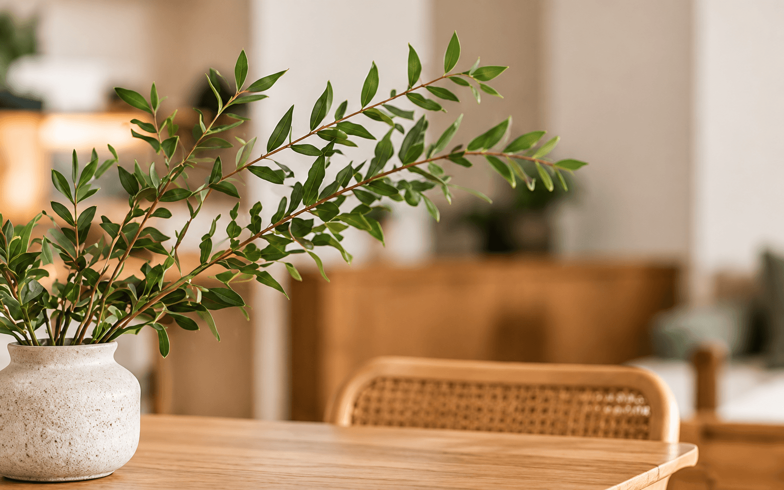 Planta en un jarrón sobre una mesa de madera